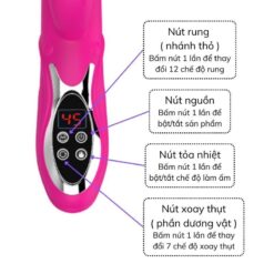 Duong Vat Gia Da Nang Digiheatnc Rung Thut Toa Nhiet 3